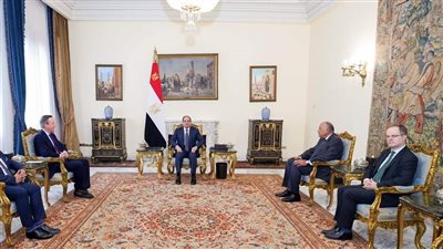 مصر وبريطانيا تشددان على ضرورة وقف إطلاق النار بغزة ورفض تهجير الفلسطينيين