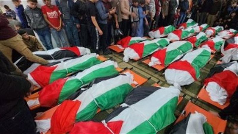 350 فلسطينيًا في