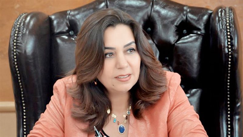 محافظ دمياط