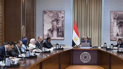 رئيس الوزراء يتابع مستجدات الموقف التنفيذي لمشروع تنمية وتطوير منطقة شق الثعبان