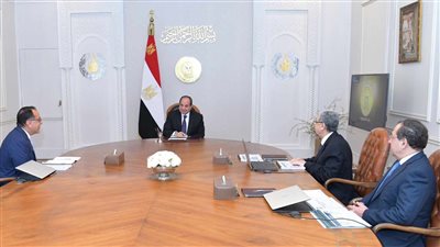 الرئيس السيسي يطلع على جهود تنفيذ الاستراتيجية الوطنية للهيدروجين الأخضر
