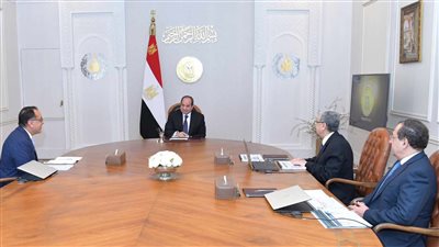الرئيس السيسي: التحول للطاقة المستدامة أحد العناصر الأساسية لرؤية مصر 2030