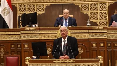مجلس الشيوخ يوافق على قبول استقالة سامح عاشور