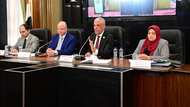 محافظ القاهرة ولجنة