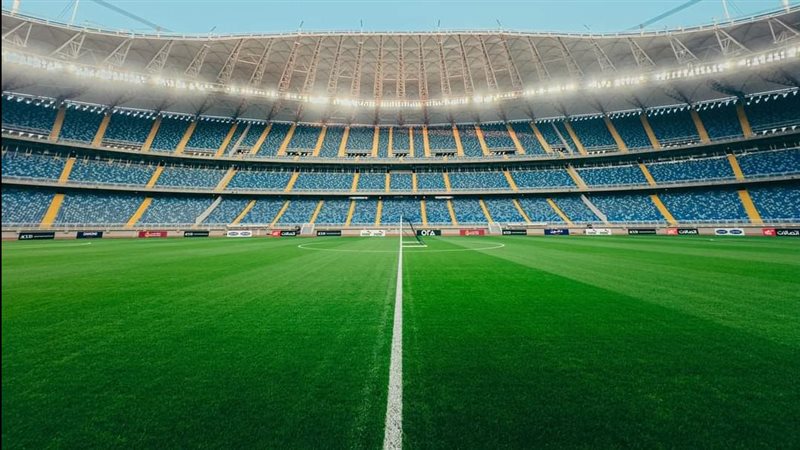 استاد مصر بالمدينة