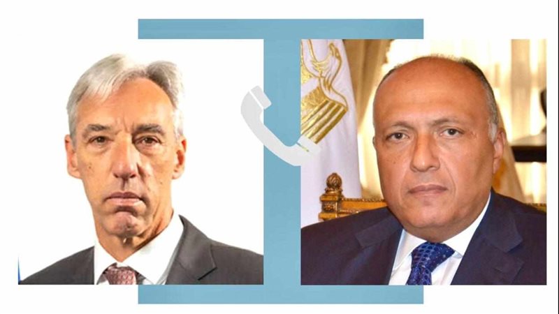 سامح شكري ووزير الخارجية