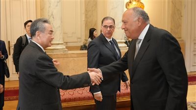 بيان مشترك بين مصر والصين بشأن القضية الفلسطينية