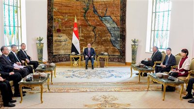 الرئيس السيسي يشدد على ضرورة وقف إطلاق النار في غزة 