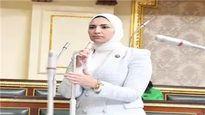 مجلس النواب يُحيل النائبة نشوى رائف للجنة القيم بعد واقعة الغش.. فيديو