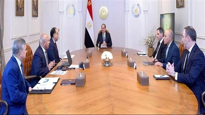 الرئيس السيسي يجتمع مع الرئيس التنفيذى لشركة الخطوط الملاحية الفرنسية CMA CGM