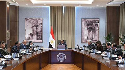 رئيس الوزراء يتابع خطوات تنفيذ مسار تنموي زراعي بشمال ووسط سيناء