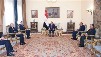 الرئيس السيسي يؤكد لوزير خارجية اليونان أهمية العلاقة الاستراتيجية بين البلدين