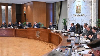 رئيس الوزراء يستعرض أبرز ملامح خطة العمل المقترحة لتنمية الصادرات المصرية