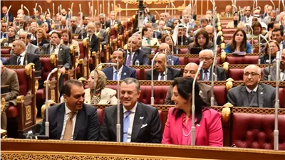 مجلس الشيوخ يوافق على مواد المساعدات الاستثنائية بقانون الضمان الاجتماعى