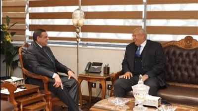 وزير التنمية المحلية يتابع مع محافظ الوادي الجديد عددًا من الملفات والمشروعات الخدمية