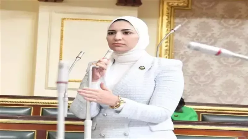 النائبة نشوى رائف