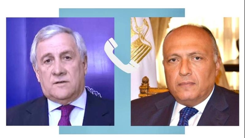 سامح شكري ووزير الخارجية