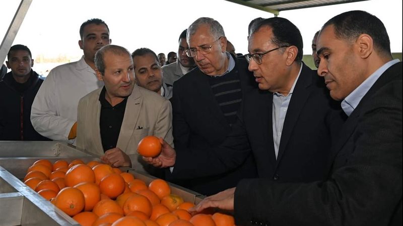 رئيس الوزراء ووزير