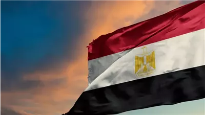 مصدر للقاهرة الاخبارية: مصر تتابع الموقف في رفح الفلسطينية ومستعدة للتعامل مع كل السيناريوهات