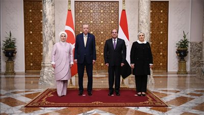 برلمانى: لقاء الرئيسين السيسي وأردوغان فرصة حيوية لتعزيز السلام والاستقرار بالمنطقة