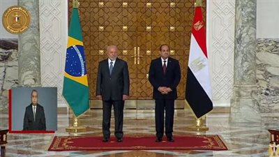 الرئيس السيسي ونظيره البرازيلي يشهدان التوقيع على عدد من الاتفاقيات