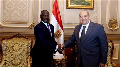 رئيس الشيوخ يشيد بدعم كوت ديفوار لمصر فى رفض التهجير القسرى للفلسطينيين