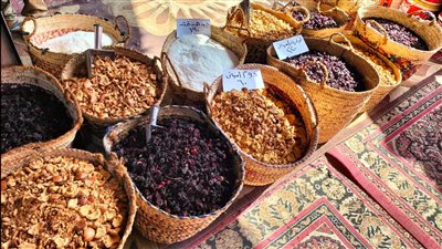 محافظ الإسكندرية يفتتح معرض 