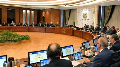 مجلس الوزراء يوافق على أكبر صفقة استثمار مباشر بشراكة استثمارية مع كيانات كبرى