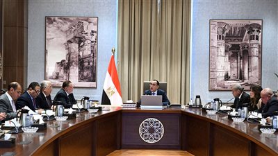 مدبولي يوجه بخطة إفراج تدريجي عن السلع الموجودة في الجمارك