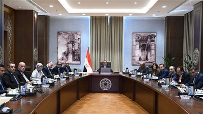 الحكومة تبدأ الإجراءات التنفيذية لطرح إدارة وتشغيل المطارات بشركات القطاع الخاص