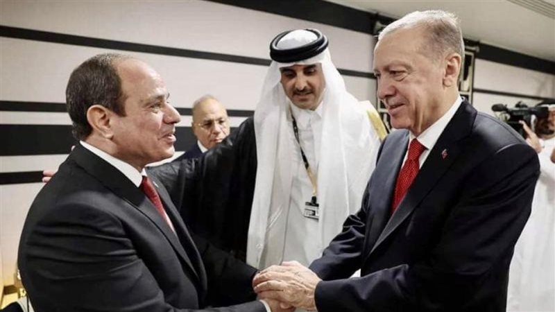 الرئيس السيسي وأردوغان