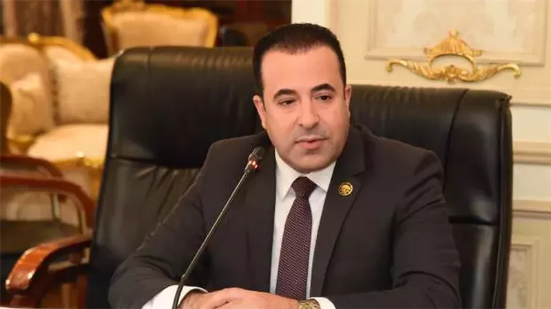 النائب أحمد بدوي