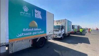 عضو بالشيوخ: قوافل التحالف الوطنى تجسيد لدور مصر الداعم للقضية الفلسطينية