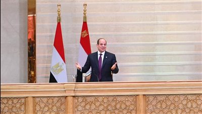 برلماني: الرئيس السيسي قدم للمصريين كشف حساب عن السنوات الـ10 الماضية