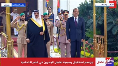 مراسم استقبال رسمية لعاهل البحرين الملك حمد بن عيسى في قصر الاتحادية.. فيديو