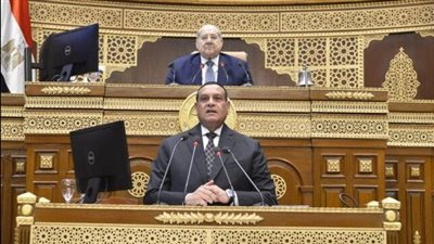 وزير التنمية المحلية يستعرض أمام مجلس الشيوخ جهود توفير البنية التحتية للمناطق الصناعية