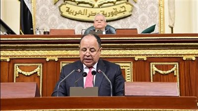 رئيس النواب: المجلس يستمع غدًا إلى بيان المالية والتخطيط حول موازنة 2024/25