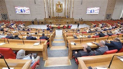 وزراء الزراعة والتموين والتعليم أمام النواب الأسبوع المقبل لعرض خططهم