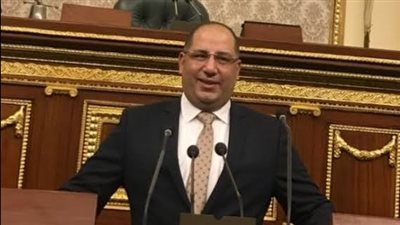برلمانى: ادعاءات إسرائيل بشأن تراجع مصر عن دعم دعوى جنوب أفريقيا كاذبة