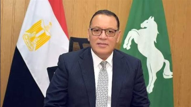 محافظ الشرقية