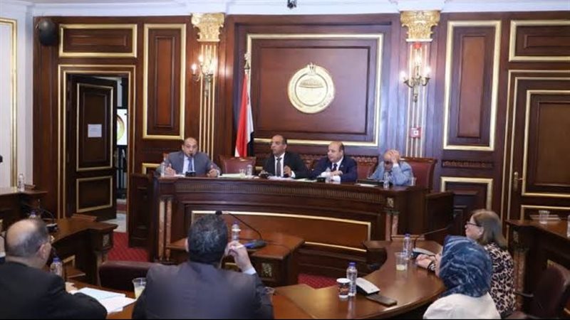 صحة الشيوخ