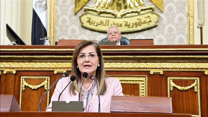وزيرة التخطيط في