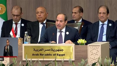 الرئيس السيسي: أبناء غزة تحت حصار مخجل للضمير الإنسانى العالمى