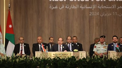 برلماني: الرئيس السيسي أكد للعالم موقف مصر الثابت من القضية الفلسطينية