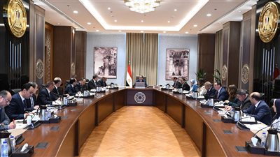 رئيس الوزراء يتابع إجراءات حل مشكلة الكهرباء ووقف تخفيف الأحمال