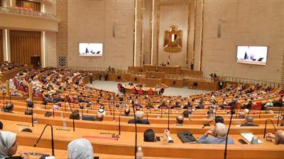 مجلس النواب يوافق على تبعية صندوق مصر السيادى لمجلس الوزراء