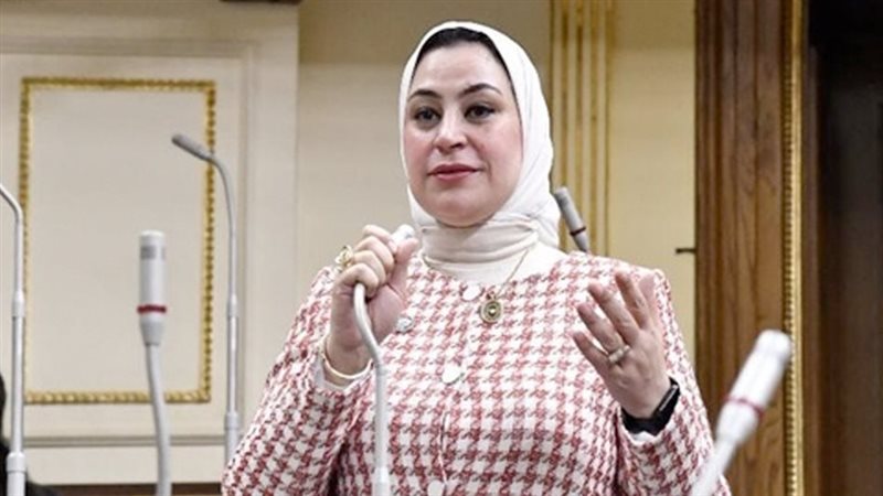 النائبة ولاء التمامي