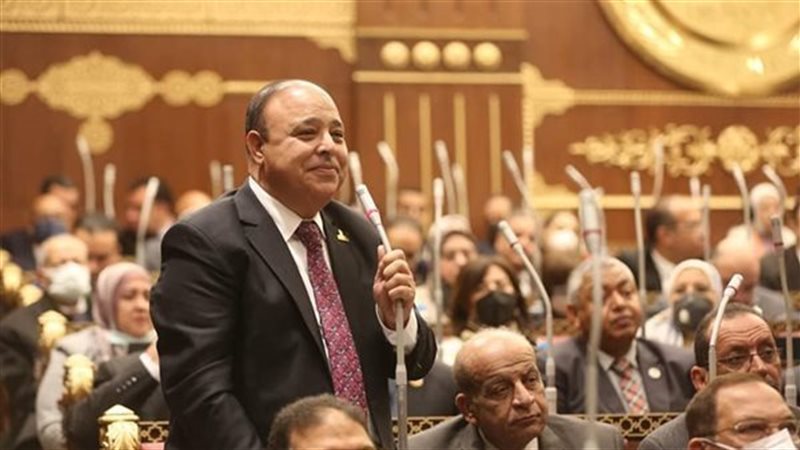 النائب الدكتور حسين