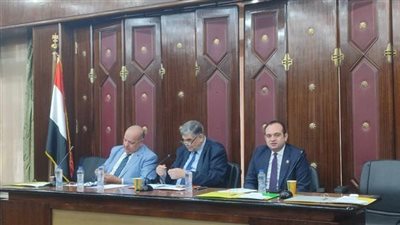 لجنة الشئون الصحية بالنواب توجه عددًا من التوصيات للحكومة