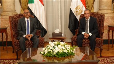 وزيرا خارجية مصر والسودان يؤكدان تطابق موقف البلدين تجاه سد النهضة